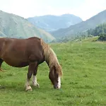 Prázdninový dům Individuel Au Pays Basque A 1,5km De St-jean-pied-de-port *