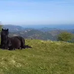 펜션 Individuel Au Pays Basque A 1,5km De St-jean-pied-de-port *