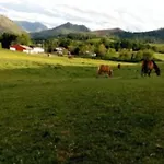 Individuel Au Pays Basque A 1,5km De St-jean-pied-de-port Prázdninový dům *