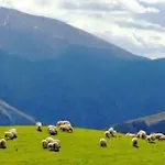 Individuel Au Pays Basque A 1,5km De St-jean-pied-de-port 펜션