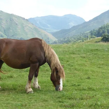 Nyaraló Individuel Au Pays Basque A 1,5km De St-jean-pied-de-port *