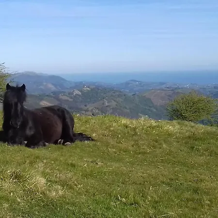 Prázdninový dům Individuel Au Pays Basque A 1,5km De St-jean-pied-de-port *