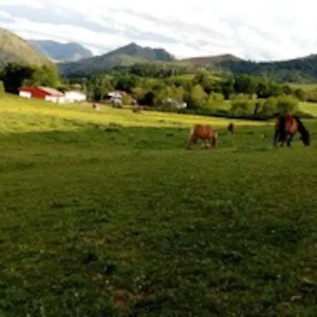 Individuel Au Pays Basque A 1,5km De St-jean-pied-de-port Feriehus *
