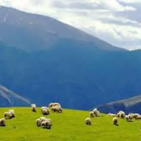 Individuel Au Pays Basque A 1,5km De St-jean-pied-de-port Prázdninový dům