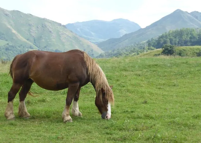 度假居 Individuel Au Pays Basque A 1,5km De St-jean-pied-de-port *
