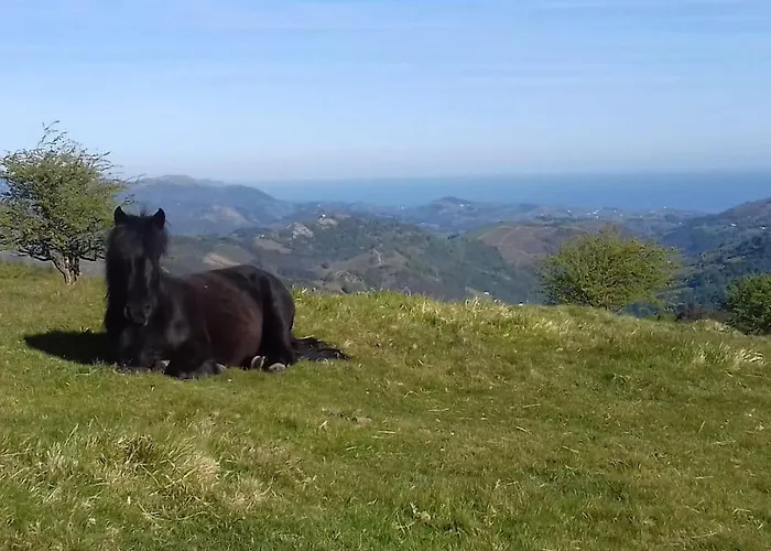 Tatil Evi Individuel Au Pays Basque A 1,5km De St-jean-pied-de-port *